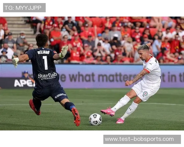 2023年亚冠足球赛事全面解析与精彩回顾